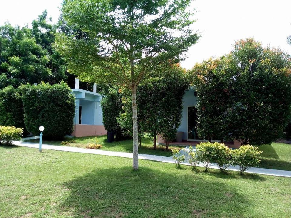 Atmyhomestay Bangsaphan Bang Saphan Eksteriør bilde
